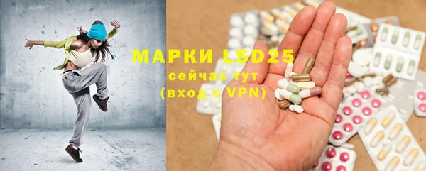 индика Зерноград