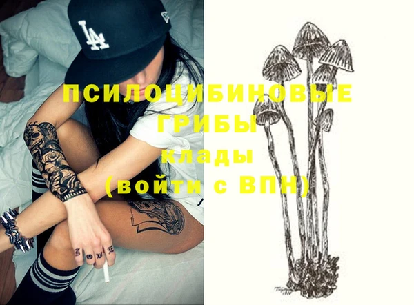 индика Зеленодольск