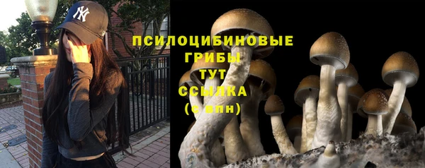 кокс Абдулино
