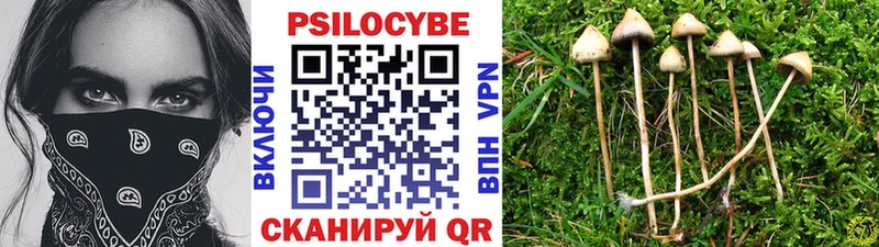 мега как войти  Киренск  Галлюциногенные грибы Cubensis  цены  